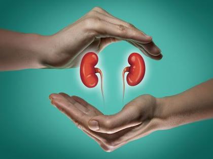 About 75% of organ transplant patients live up to five years; Study in Nagpur Division | अवयव प्रत्यारोपण झालेले ७५ टक्क्यांवर रुग्ण पाच वर्षापर्यंत जगतात; नागपूर विभागातील अभ्यास