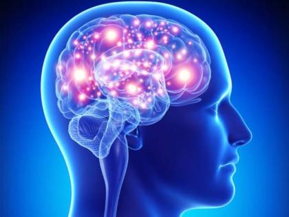 These good habits keep your brain active and healthy | मेंदुला अॅक्टिव्ह ठेवण्यात फायदेशीर असतात तुमच्या या सवयी!