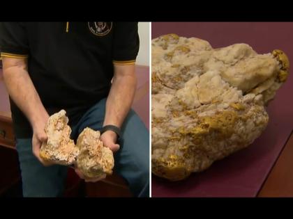 Australian Man Unearths Huge Gold Nugget Using Metal Detector | मेटल डिटेक्टर घेऊन रस्त्याने फिरत होता, अचानक जमिनीखाली सापडला सोन्याचा खजिना