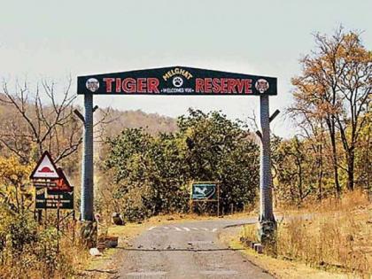 The forester of Melghat was held hostage at Raipur; Tiger officers dispatch police escort | मेळघाटच्या वनपालास रायपूर येथे ओलीस ठेवले; व्याघ्र अधिकारी पोलीस बंदोबस्त रवाना