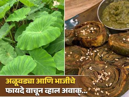 Health benefits of eating Arbi leaves taro leaves, know different recipes | अळूवड्या आणि भाजी तर अनेकदा खाल्ली असेलच आता याचे फायदे जाणून घ्या