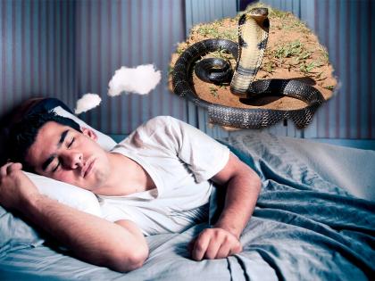 Why do people see snake in dream know what experts say | स्वप्नात साप दिसण्याचं काय असतं कारण? वाचा एक्सपर्ट काय म्हणाले...