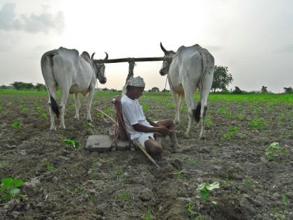 In six months, 548 farmers died | भीषण; दर आठ तासांनी एक शेतकरी करतोय आत्महत्या; सहा महिन्यांत ५४८ शेतकऱ्यांनी मृत्यूला कवटाळले