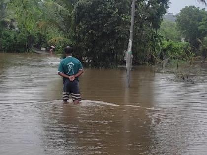 Agriculture in Pali village under water due to huge filling and illegal construction | प्रचंड भराव अन् बेकायदा बांधकामामुळे पाली गावातील शेती पाण्याखाली