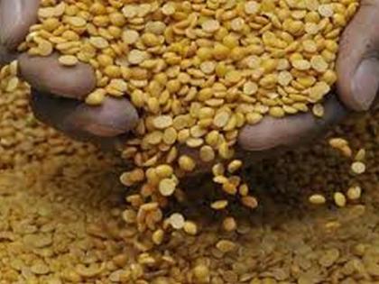 7,000 quintals of gram pulses available! | तूर, हरभरा डाळीचा सात हजार क्विंटल साठा उपलब्ध!