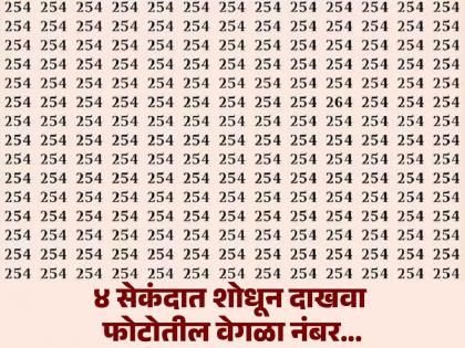 Optical Illusion : Can you spot the number 264 among 254’s in 4 seconds! | चॅलेंज! फोटोत शोधायचा आहे एक वेगळा नंबर, ४ सेकंदात पूर्ण करायचं आहे चॅलेंज!