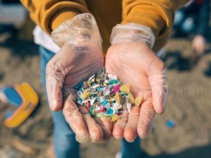 Microplastics In Human Blood: The scientist found Microplastics found in human's blood; Dangerous for health | Microplastics In Human Blood: ज्याची भीती होती तेच झाले! वैज्ञानिक हादरले; रक्तात पहिल्यांदाच सापडले मायक्रोप्लॅस्टिक 