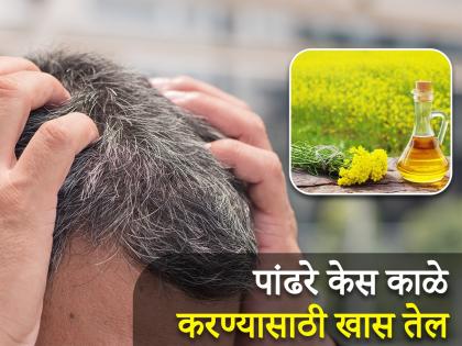 Best oils for natural jet black hair | पांढरे केस काळे करण्यासाठी घरीच तयार करा खास तेल, लगेच होईल फायदा!