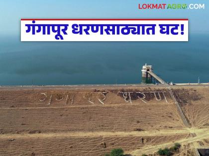 Water Crisis: Shortage Plan: Reduction in Gangapur Dam storage; But no demand for tankers | Water Crisis : टंचाई आराखडा : गंगापूर धरणसाठ्यात घट; मात्र टँकरची मागणी नाही Water Crisis: Shortage Plan: Reduction in Gangapur Dam storage; But no demand for tankers | Water Crisis : टंचाई आराखडा : गंगापूर धरणसाठ्यात घट; मात्र टँकरची मागणी नाही