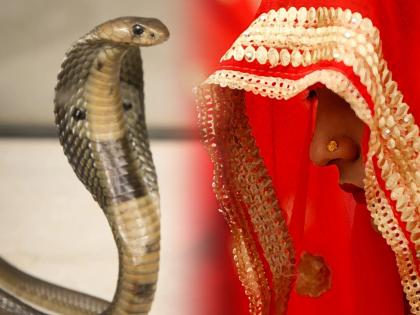 Bride dead because of Snake bite before marriage in Dhanbad Jharkhand | हळद झाल्यावर झोपायला गेलेल्या नव्या नवरीला सापाने मारला दंश, संसार सुरू होण्याआधीच संपला....