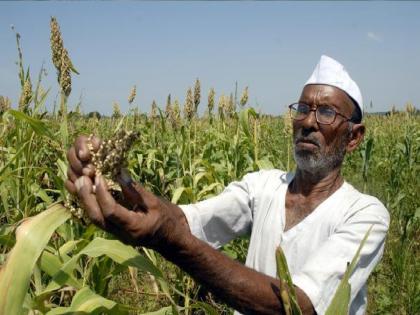 Difficulties in getting compensation for crop damage due to oppressive conditions in natural calamities | नैसर्गिक आपत्तीतील मदत अटींच्या विळख्यात, जाचक अटींमुळे शेतपिकाची नुकसान भरपाई मिळण्यात अडचणी