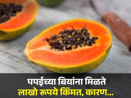 Amazing health benefits of papaya seeds you should know this | पपई खाल्ल्यावर बीया फेकता का? करताय मोठी चूक, फायदे वाचून व्हाल अवाक्...