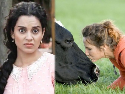 Kangana Ranaut latest tweet about research on cow hugging the worlds new wellness trend | बोंबला! आता गायीला मिठी मारून स्ट्रेस दूर करण्यासंबंधी रिसर्चवर भडकली कंगना, पण का भौ?