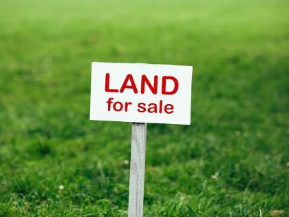 maharashtra government will go to the Supreme Court against the decision to cancel the land Plotting and selling Real Estate Update | तुकडाबंदी गुंठेवारी रद्द निर्णयाविरोधात सर्वोच्च न्यायालयात जाणार