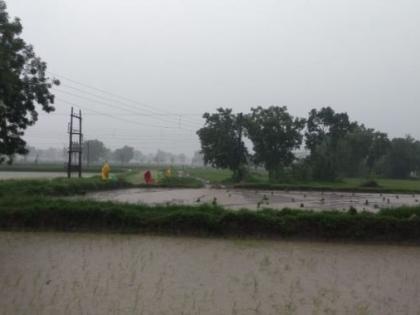 Finally the torrential rains in Vidarbha; The peasantry was relieved | अखेरीस विदर्भात बरसल्या जलधारा; शेतकरीवर्ग सुखावला