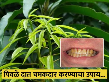 Add these 6 foods items in your diet to remove tartar or plaque from teeth and make the white naturally | दातांवरील पिवळे डाग घालवण्याचे जबरदस्त आयुर्वेदिक उपाय, लगेच दात होईल चमकदार...