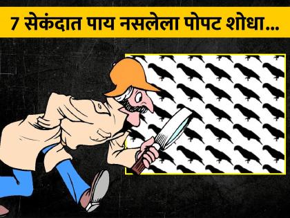 Optical Illusion : Can you spot a parrot without legs in this picture within 7 seconds | फोटोत कुठे आहे पाय नसलेला पोपट, 7 सेकंदात पूर्ण करायचं आहे चॅलेंज!