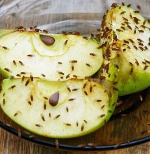 फळांवर सतत माश्या फिरतात? शेफ पंकज भदौरीया सांगतात १ सोपा उपाय, चिलटं-माश्या होतील गायब