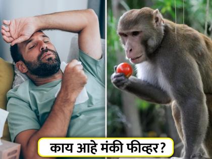 Monkey Fever : Monkey Fever kills 2 in Karnataka know definition transmission prevention | काय आहे मंकी फीव्हर? कर्नाटकात दोघांचा मृत्यू, जाणून घ्या लक्षणं!