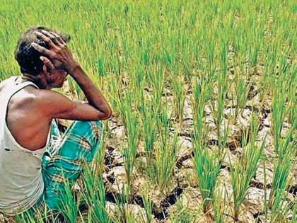 Debt-paying farmers awaiting incentive amount | कर्जफेड करणारे शेतकरी प्रोत्साहन रकमेच्या प्रतीक्षेत