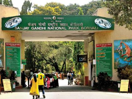 National Park to open for Morning Walk from October 1? | १ ऑक्टोबरपासून नॅशनल पार्क मॉर्निंग वॉकसाठी खुले होणार ?