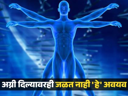 Which part of the body does not burn even when given fire? Know the answer... | शरीरातील असा कोणता भाग आहे जो अग्नी दिल्यावरही जळत नाही? जाणून घ्या उत्तर...