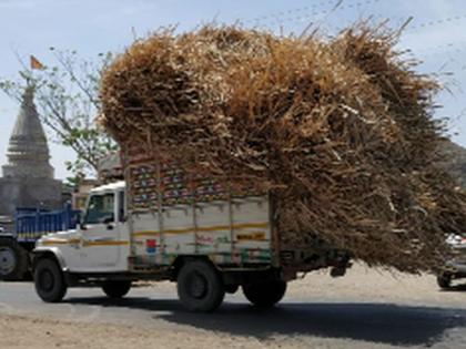 Drinking water, fodder scarcity is unsatisfactory | पाणी, चारा टंचाईने ग्रामस्थ बेहाल