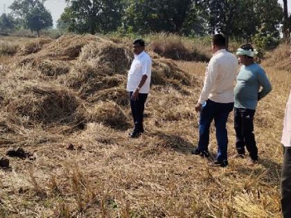 Elephants damage crops to 20 farmers in gadchiroli | हत्तींची घुसखोरी, २० शेतकऱ्यांच्या पिकांचे नुकसान