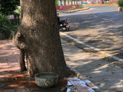 Water pots kept in Nagpur for puppies | नागपुरात मुक्या श्वानांसाठी जागोजागी ठेवली जलपात्रे