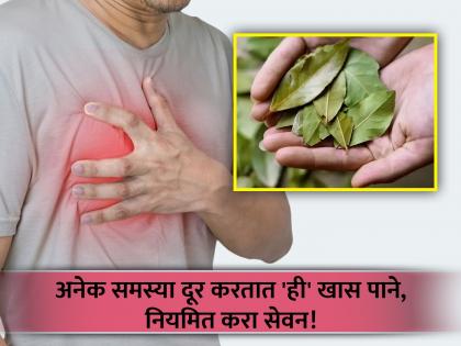 Amazing health benefits of bay leaf you should know | मसाल्यातील ही खास पाने आरोग्यासाठी ठरतात फायदेशीर, जाणून घ्या फायदे...