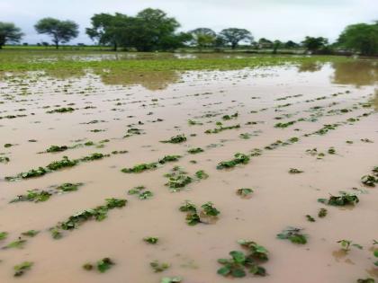 Where it rains heavily and where it drizzles; Still a deficit of 13.5 percent | कुठे अतिवृष्टी तर कुठे रिमझिम; अद्यापही १३.५ टक्क्यांची तूट