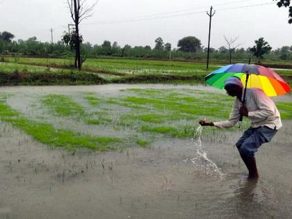 Rain all over Vidarbha, Orange Alert in Nagpur, Wardha | विदर्भात सर्वदूर पाऊस, नागपूर, वर्धामध्ये ऑरेंज अलर्ट