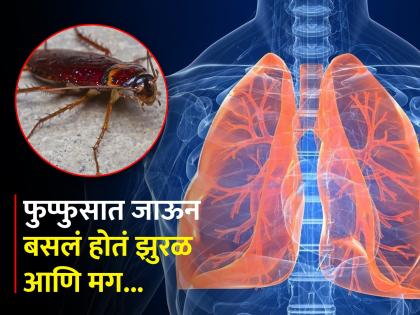 OMG! Doctor removes 4 cm long cockroach from patient lung | डॉक्टरांनी रूग्णाच्या फुप्फुसातून काढलं 4 सेमी लांब झुरळ, पण आत गेलंच कसं?