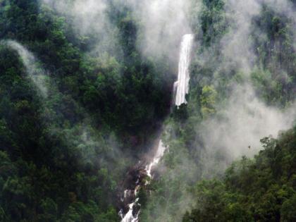 3 year child miraculously survives 3 days alone in forest at Sydeny in Australia | घनदाट जंगलात ३ दिवस एकटाच राहिला ३ वर्षीय चिमुकला, तहान लागल्यावर नाल्यातील पाणी प्यायला