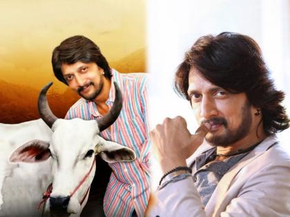 Kiccha Sudeep To Adopt 31 Cows Under Punyakoti Dattu Yojana | मानलं! साऊथ स्टार Kiccha Sudeep ३१ गायी दत्तक घेणार, म्हणाला...‘ही तर माझी जबाबदारी’