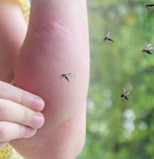 रात्री डास चावल्याने सतत झोपमोड होते? डासांना पळवून लावण्यासाठी १ सोपा रामबाण उपाय