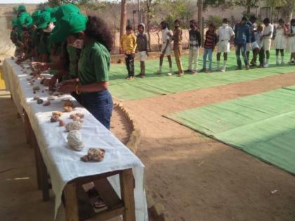 A display of stones filled in the school to teach a school lesson | शालेय धडा शिकवण्यासाठी शाळेत भरविले दगडांचे प्रदर्शन