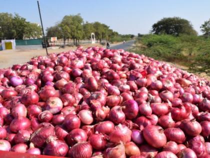 Cried the summer onion; The cost of cultivation increased | उन्हाळी कांद्याने रडविले; लागवडीचा खर्च वाढला Cried the summer onion; The cost of cultivation increased | उन्हाळी कांद्याने रडविले; लागवडीचा खर्च वाढला