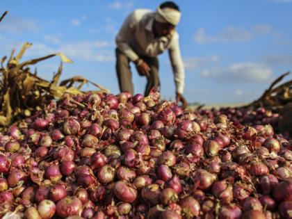 Daina... Sold four quintals of onion, paid Rs 318 out of pocket. | Farmer: दैना... चार क्विंटल कांदा विकला, वर खिशातून दिले ३१८ रु.