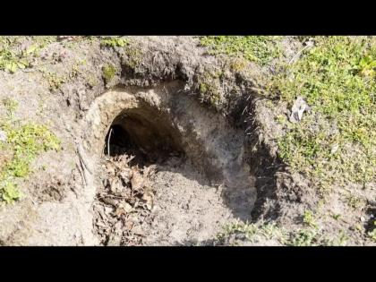 Couple found secret tunnel under thick slab digging up garden Britain | गार्डनमध्ये खोदकाम करताना सापडलं असं काही, आत गेल्यावर अवाक् झालं कपल