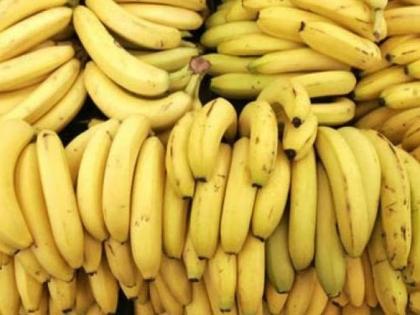 Don't you eat bananas grown with powder?; Demand increased due to fasting during Shravan | पावडरने पिकविलेली केळी तर खात नाही ना?; श्रावणातील उपवासामुळे वाढली मागणी