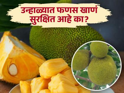 Is it safe to eat Fanas or Jackfruit in summer, Know its benefits | उन्हाळ्यात फणस किंवा फणसाची भाजी खावी की नाही? जाणून घ्या रिसर्च काय सांगतो!