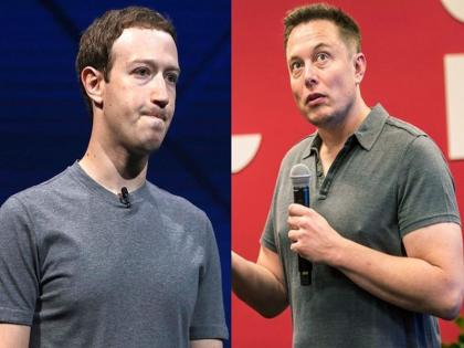 Elon Musk tweets, Facebook CEO Mark Zuckerberg's knowledge of A.I.'s future is 'limited' | म्हणे, झुकरबर्गची बुद्धिमत्ता मर्यादित; 'या' दिग्गजाने उडवली खिल्ली 