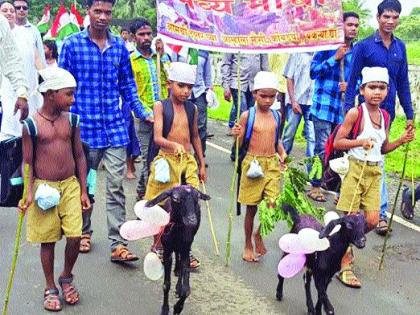 paalagharamadhaila-saalaa-bandacaa-nairanaya-sathagaita | पालघरमधील शाळा बंदचा निर्णय स्थगित