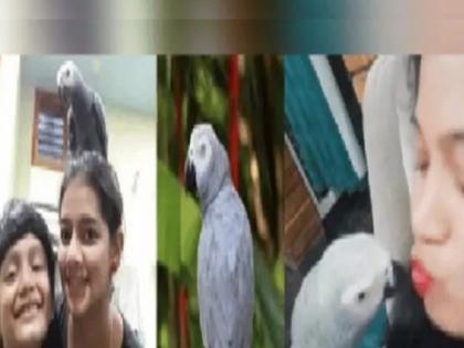 A family in Karnataka has offered a reward of Rs 50,000 for finding their missing parrot | पोपटाला शोधून द्या आणि मिळवा ५० हजार रूपये; मालकाने लावले पोस्टर! 