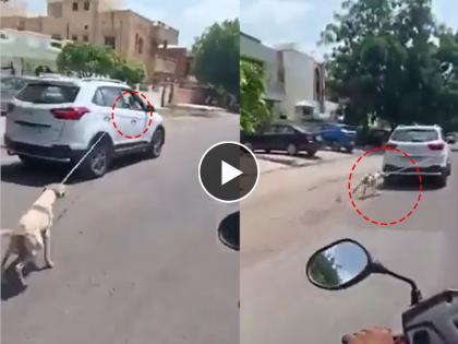 A video of a doctor driving a dog tied to a running car is going viral in Rajasthan's Jodhpur | इथे माणुसकी संपली! धावत्या कारला बांधून कुत्र्याला नेले फरफटत, व्हिडीओ व्हायरल होताच गुन्हा दाखल