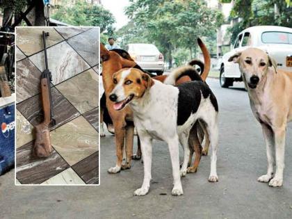 A woman riding a bicycle was hit by a bullet fired at a stray dog in Nalasopara  | धक्कादायक! बंदुकीचा निशाणा चुकला अन् झाली दुर्घटना; कुत्र्याला मारलेली गोळी लागली महिलेला