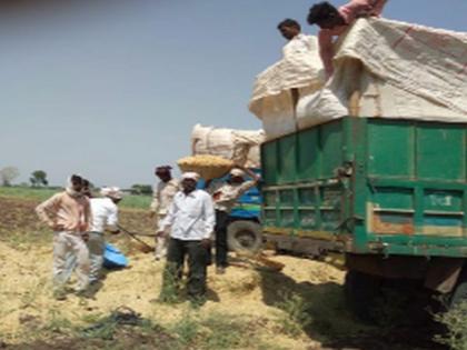 Fodder scarcity | चाराटंचाईने पशुपालक बेजार