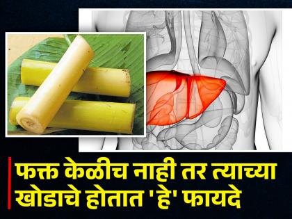 Banana stem juice benefits to treat fatty liver naturally | 7 दिवसात फॅटी लिव्हरची समस्या दूर करेल केळीच्या खोडाचा ज्यूस, आतड्याही होतील साफ