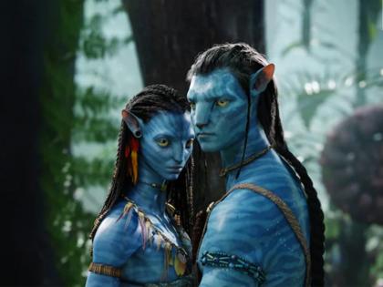 avatar 2 box office beats kantara in india bollywood top collection record | Avatar 2 : ‘अवतार 2’ने बॉलिवूड, टॉलिवूड सर्वांनाच घाम फोडला; भारतात रेकॉर्डब्रेक कमाई